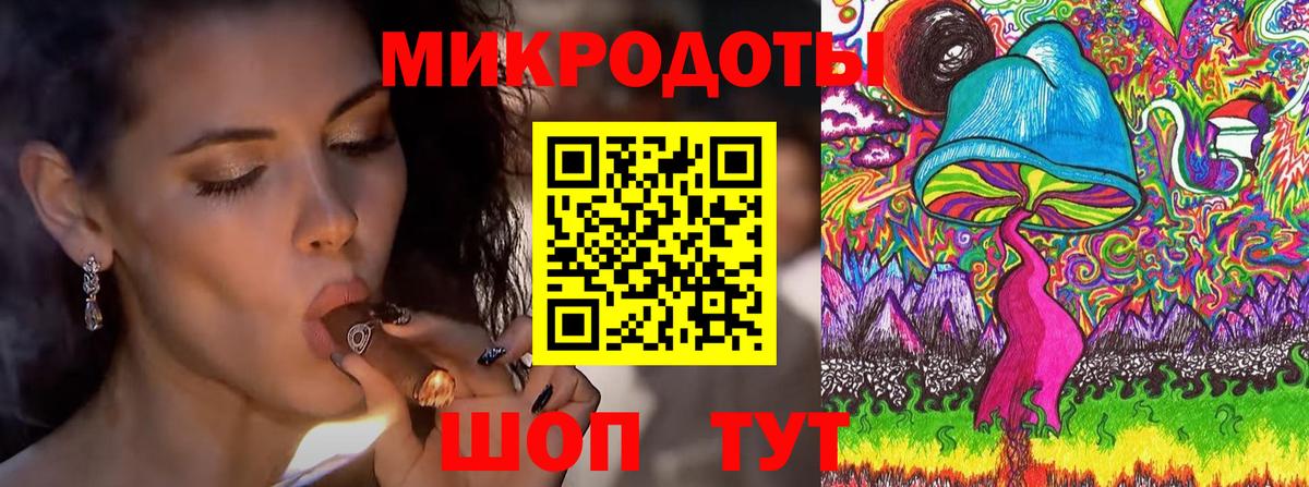 Псилоцибиновые грибы Cubensis Кувандык